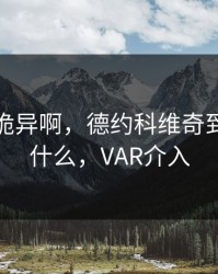 这操作诡异啊，德约科维奇到底在想什么，VAR介入