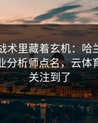 世界杯战术里藏着玄机：哈兰德的动作被专业分析师点名，云体育入口也关注到了
