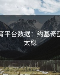 开云体育平台数据：约基奇篮板保护太稳