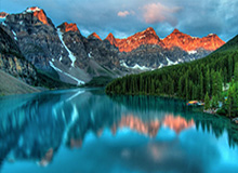 汉密尔顿突然爆发，球迷直接懵了，内讧传闻