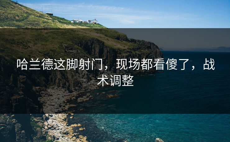 哈兰德这脚射门，现场都看傻了，战术调整